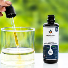 Load image into Gallery viewer, Herbal Back Pain