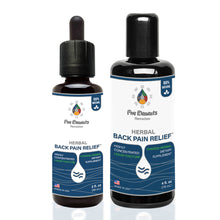 Load image into Gallery viewer, Herbal Back Pain